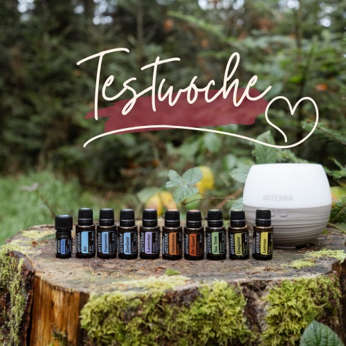 Öle-Testwoche – DiaVega Ernährungsberatung Eine Aromatherapie-Diffuser und verschiedene ätherische Öle auf einem Baumstumpf.