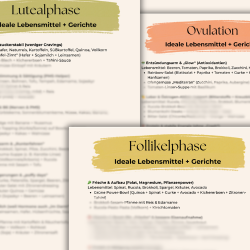 Information zu den Phasen des Menstruationszyklus: Follikelphase, Ovulation, Lutealphase.