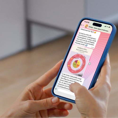 Hand mit Smartphone, das eine Grafik mit kreisförmigen Elementen anzeigt.