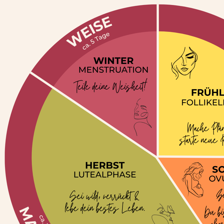 Kreisdiagramm zu den Phasen des Menstruationszyklus mit Illustrationen und Text.