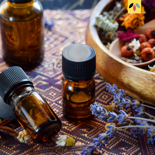 doTERRA Testwoche – DiaVega Ernährungsberatung Braune Flaschen mit ätherischen Ölen und getrockneten Kräutern auf einem dekorativen Tuch.