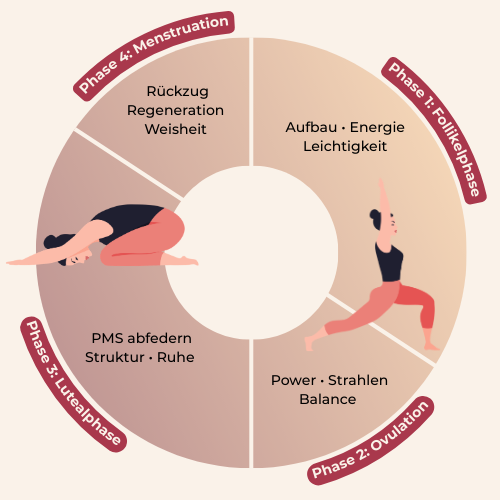 Diagramm der Phasen im Menstruationszyklus mit Übungen für jede Phase.